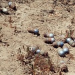 Fort Ord Unexploded Ordnance